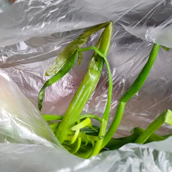 Mopaş Online Siparişimde Bozulmuş Ve Dökülmüş Ürünler Teslim Edildi