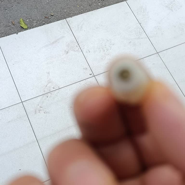 Küçük Parça Arızası İçin Yüksek Ücret Talebi Ve Garanti Desteği Sorunu