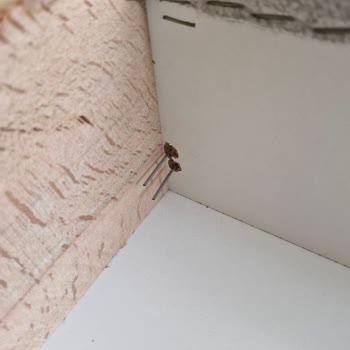 Kusurlu Koltuklar İçin İade Talebim Aylardır Karşılanmadı, Mağdur Edildim