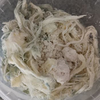 KarSüt Göğermiş Peynirde Kalite Sorunu