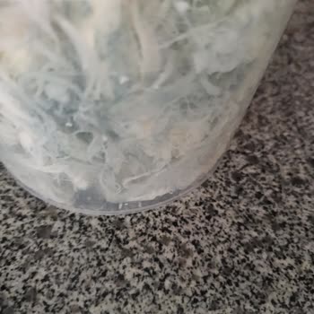 KarSüt Göğermiş Peynirde Kalite Sorunu