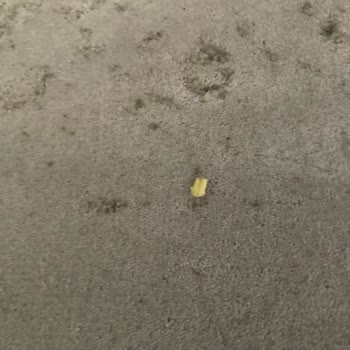 Ecovacs T30 Temizlikte Hayal Kırıklığı Yaşattı