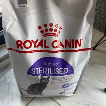 Royal Canin Kedi Mamasında Fare Şoku: Sağlık Ve Güvenlik Endişesi