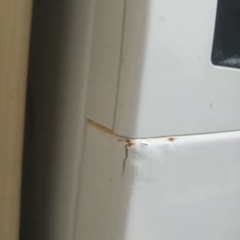 Garanti Süresi Devam Eden Bosch Çamaşır Makinesinde Paslanma Ve Servis Sorunu