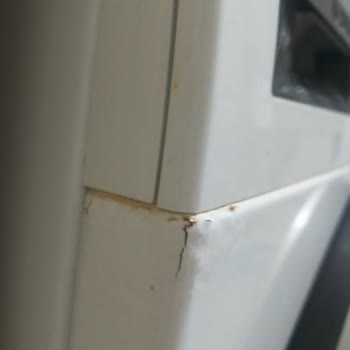 Garanti Süresi Devam Eden Bosch Çamaşır Makinesinde Paslanma Ve Servis Sorunu