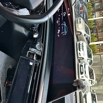 Peugeot 3008'in Yazılım Arızası Nedeniyle Kullanılamaz Hale Gelmesi Ve Garanti Süresinin Haksız Tüketilmesi