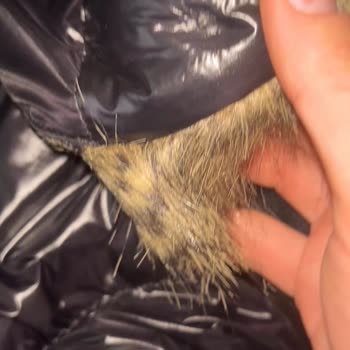 Lufian Montta Kısa Sürede Yaşanan Sorun Ve İlgisiz Mağaza Yaklaşımı