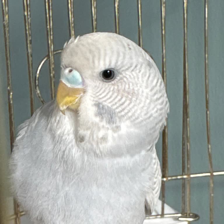 Yanlış Bilgilendirme Ve Fahiş Fiyat Nedeniyle Mağduriyet