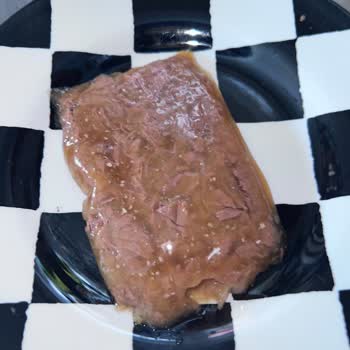 Kedim Felix Somonlu Mama Sonrası Zehirlendi: Sağlık Ve Maddi Zarar