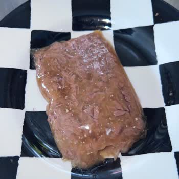 Kedim Felix Somonlu Mama Sonrası Zehirlendi: Sağlık Ve Maddi Zarar