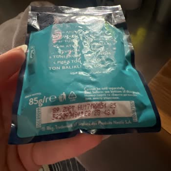 Kedim Felix Somonlu Mama Sonrası Zehirlendi: Sağlık Ve Maddi Zarar