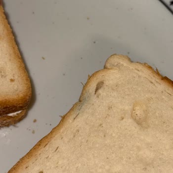 Uno Ekmek Paketi Açtığımda Ekmeklerin Küflendiğini Gördüm