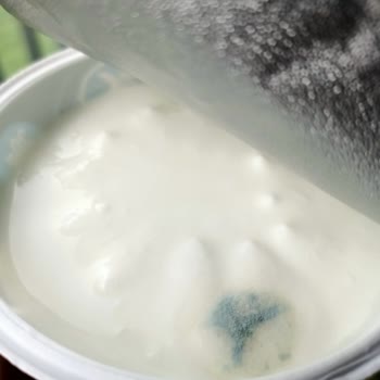 Son Kullanma Tarihi Geçmemiş Quark Yoğurt Küflenmiş Çıktı