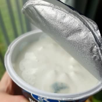 Son Kullanma Tarihi Geçmemiş Quark Yoğurt Küflenmiş Çıktı