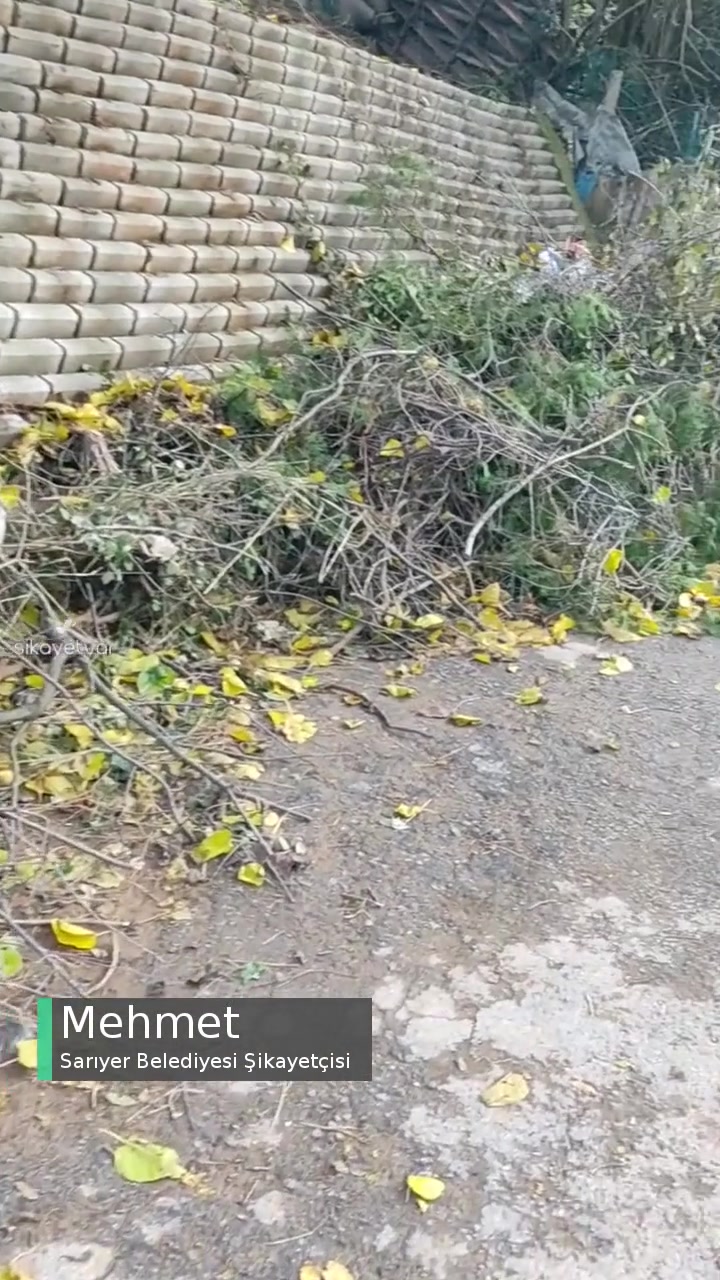 Sarıyer Belediyesi Çöpler Toplanmıyor videonun kapak resmi