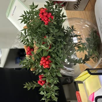 Çiçek Sepeti Siparişim Görselle Alakasız Ve Şikayetlerime Dönüş Yapılmadı