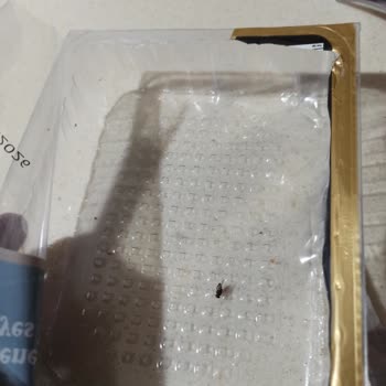 Erciyes Sucukları Açılmamış Dondurulmuş Mantı Paketinde Sinek Buldum Hijyen Endişesi Yaşıyorum