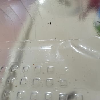 Erciyes Sucukları Açılmamış Dondurulmuş Mantı Paketinde Sinek Buldum Hijyen Endişesi Yaşıyorum