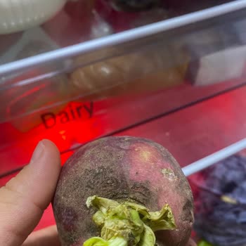 Aldığım Arçelik Buzdolabı Gıdaları Hızla Bozuyor, Mağduriyet Yaşıyorum