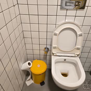 Burger King Güneşevler Şubesi Tuvaletlerinde Hijyen Ve Bakım Sorunu