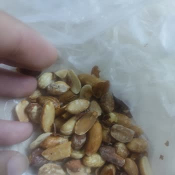 A101'den Aldığım Yer Fıstığında Kurtlanma Ve Kötü Koku Şikayeti