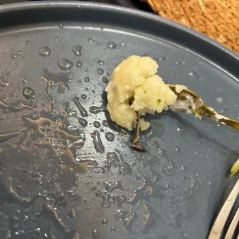 Karnabaharın İçinden Yılan Çıktı: Ailemin Sağlığı Tehlikeye Girdi