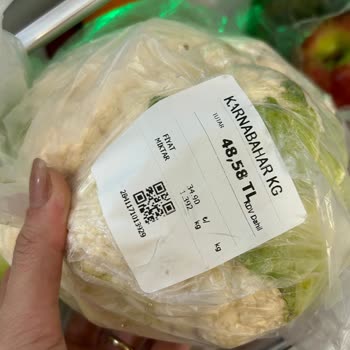 Karnabaharın İçinden Yılan Çıktı: Ailemin Sağlığı Tehlikeye Girdi