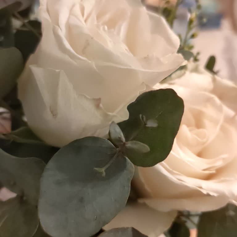 Sipariş Edilen Çiçekler Görselden Farklı Ve Kötü Durumda Teslim Edildi