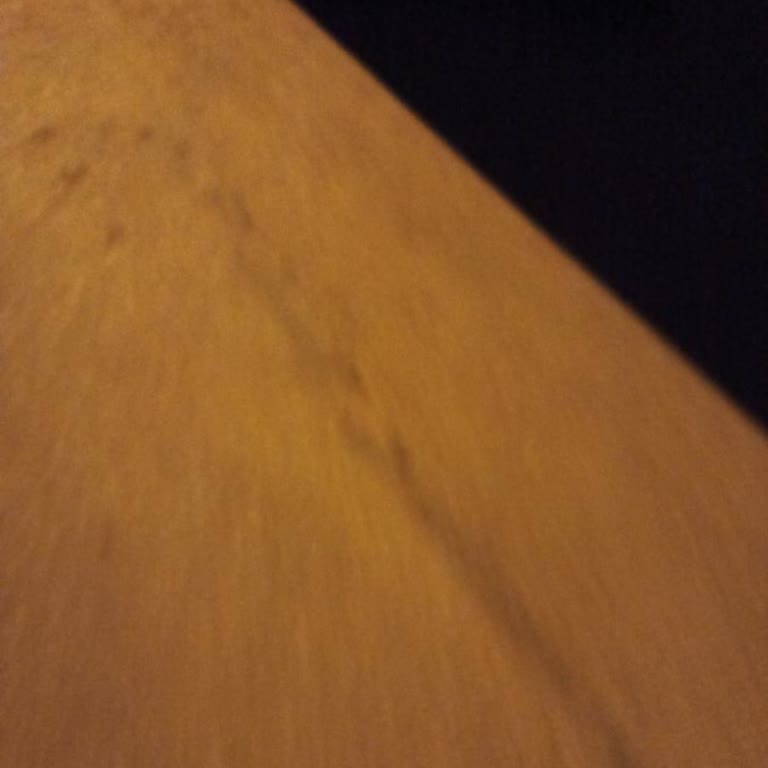 Evde Olduğum Halde Kargo Teslim Edilmedi, Mağduriyet Yaşadım