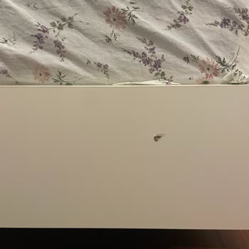 Hasarlı Teslimat Ve Uzayan Çözüm Süreci Nedeniyle Mağduriyet