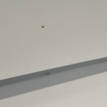 Sıfır Alınan Derin Dondurucuda Çivi Delikleriyle Karşılaştım