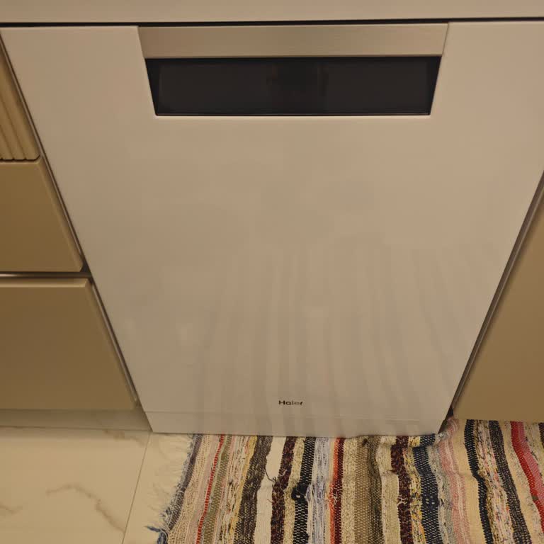 Haier Bulaşık Makinesi Sorunu