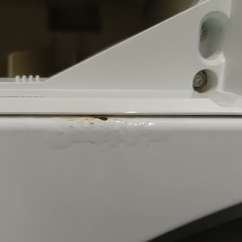 Bosch Çamaşır Makinesinde Su Kaçağı Ve Boya Kabarması Sorunu