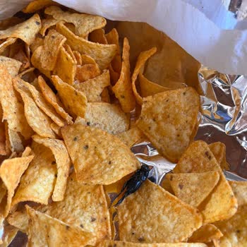 Doritos Cipsin İçinden Böcek Çıkması Nedeniyle Hijyen Ve Sağlık Endişesi Yaşadım