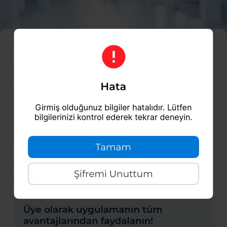 Ajet Uygulamasına Giriş Yapamıyor Uçuşlarımı Kontrol Edemiyorum