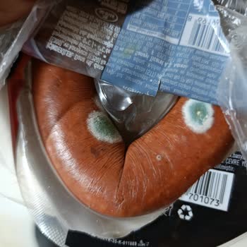 Başyazıcı Dana Sucukta Ambalaj İçinde Küflenme Ve Gıda Güvenliği Endişesi