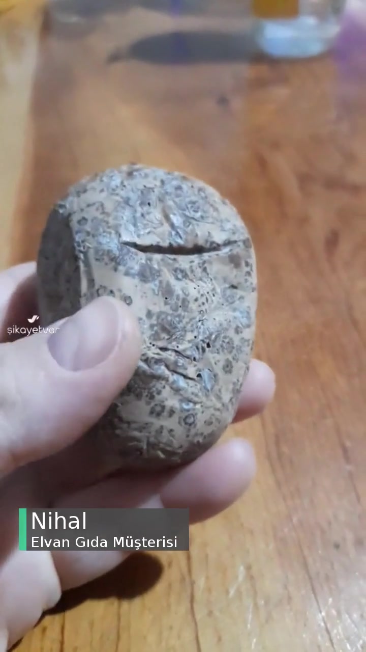 Elvan Gıda Yenecek Hali Yoktu Yumurtanın videonun kapak resmi