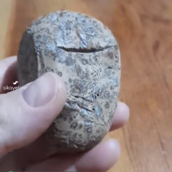 Elvan Gıda Yenecek Hali Yoktu Yumurtanın