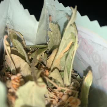 Kapalı Ihlamur Çay Paketinden Canlı Kurt Ve Larva Çıktı