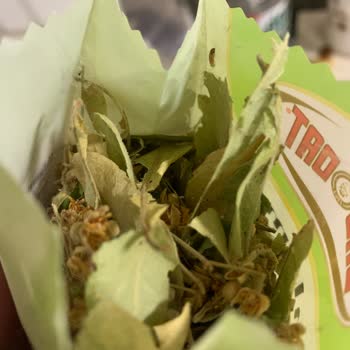 Kapalı Ihlamur Çay Paketinden Canlı Kurt Ve Larva Çıktı