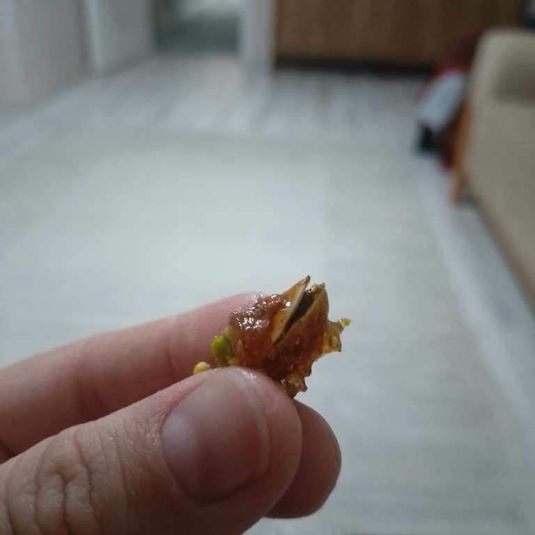 Ganik Lokumda Tehlikeli Antep Fıstığı Sürprizi: Dişimi Kırıyordum!