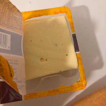 Tarabya Kaşar Peynirinde Böcek Şoku: Sağlık Ve Hijyen Endişesi