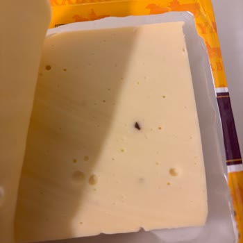 Tarabya Kaşar Peynirinde Böcek Şoku: Sağlık Ve Hijyen Endişesi