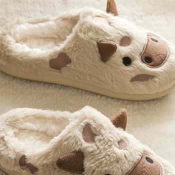 Görseldeki Ürünle Gönderilen Ev Ayakkabısı Farklı Çıktı