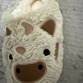 Görseldeki Ürünle Gönderilen Ev Ayakkabısı Farklı Çıktı