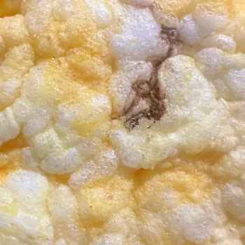 Eti Gıda Gong Mısır Patlağında Şüpheli Madde, Güvenim Sarsıldı