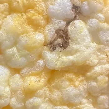 Eti Gıda Gong Mısır Patlağında Şüpheli Madde, Güvenim Sarsıldı