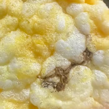 Eti Gıda Gong Mısır Patlağında Şüpheli Madde, Güvenim Sarsıldı