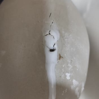 Koçtaş Kırık Ve Tamir Edilmiş Klozet Takımı Yeni Diye Satıldı