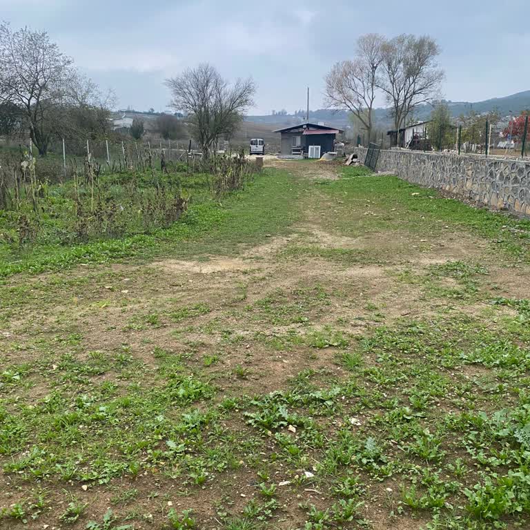 Ziraat Bankası'nda Onaylı Kredimi Dijital Kanallardan Kullanamıyorum, Sorunum Çözülemiyor